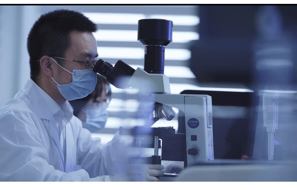 ��Ȧ-Ϊdu����