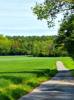 ��Ȧ-Ϊdu����