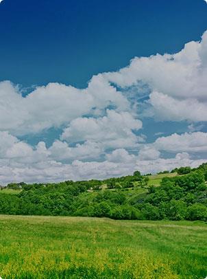 ��Ȧ-Ϊdu����